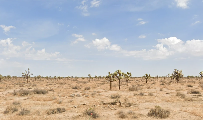 Main Listing Image