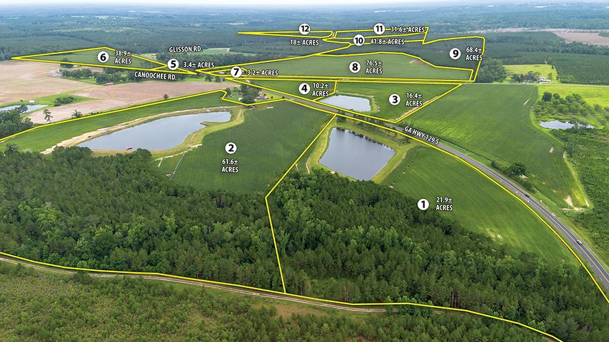 Main Listing Image