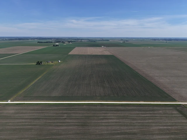 Main Listing Image
