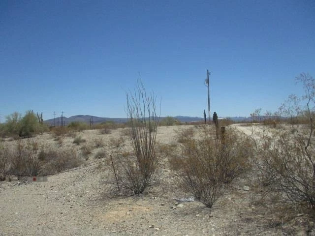 Main Listing Image