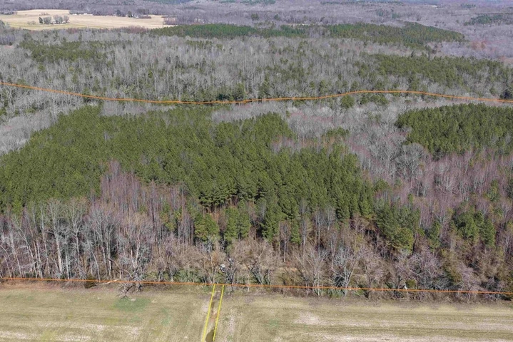 Main Listing Image