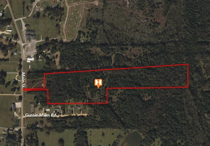 Main Listing Image
