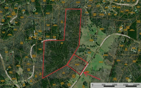 Main Listing Image