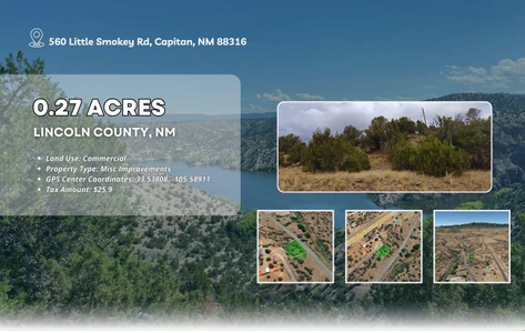 Main Listing Image