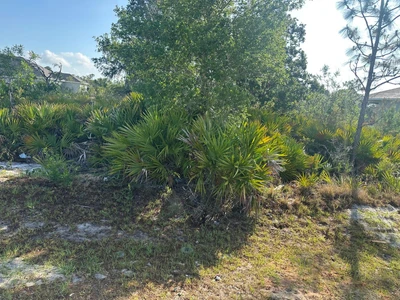 Main Listing Image