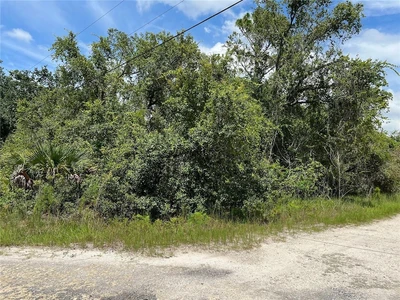 Main Listing Image