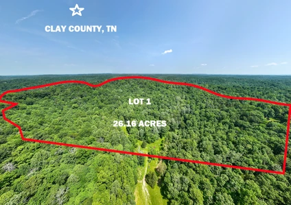 Main Listing Image
