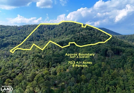 Main Listing Image
