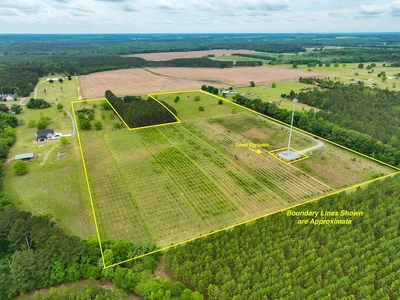 Main Listing Image