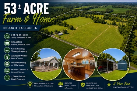Main Listing Image