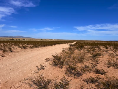 Main Listing Image