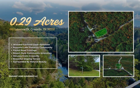 Main Listing Image