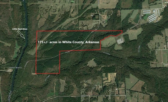 Main Listing Image