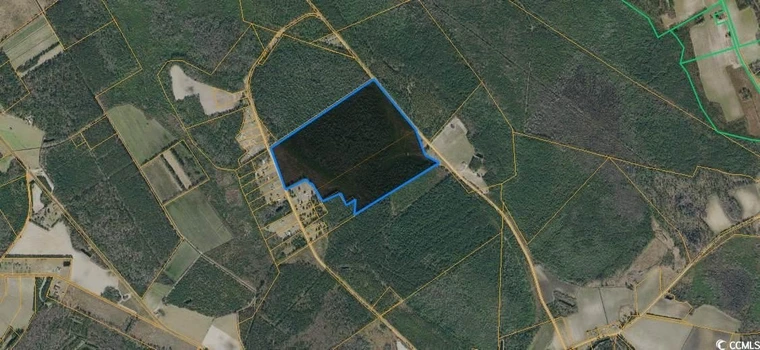 Main Listing Image