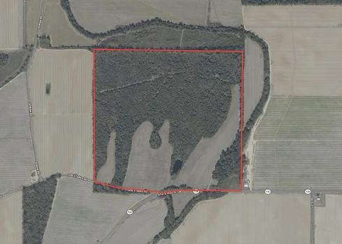 Main Listing Image