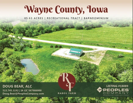 Main Listing Image