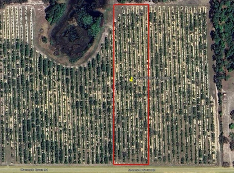 Main Listing Image