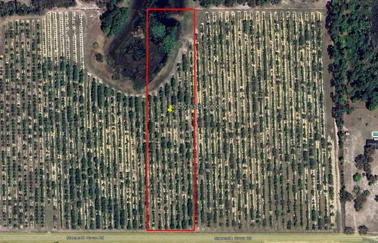 Main Listing Image