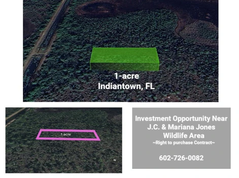 Main Listing Image