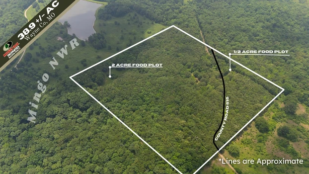 Main Listing Image