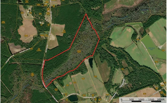 Main Listing Image