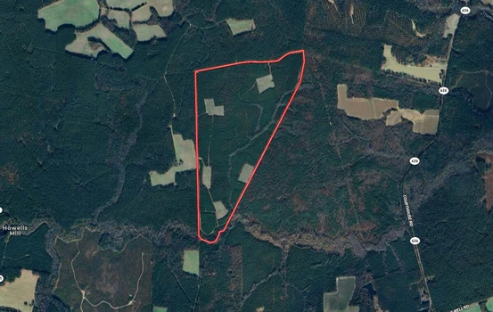 Main Listing Image