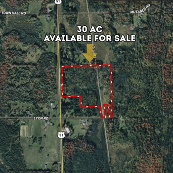Main Listing Image