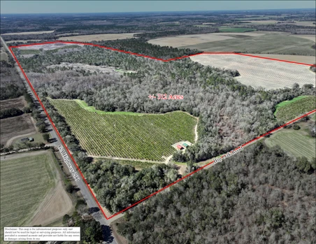 Main Listing Image