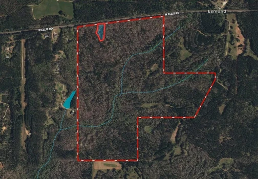 Main Listing Image