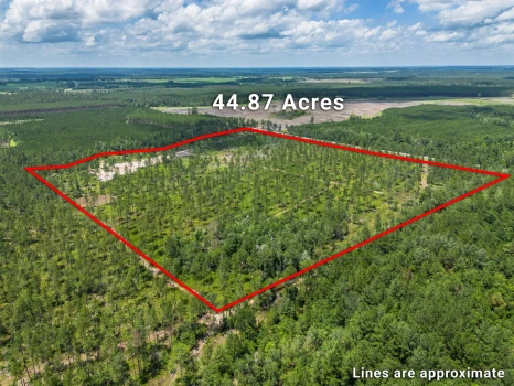 Main Listing Image