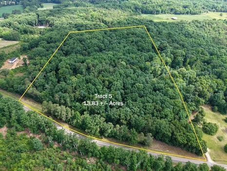Main Listing Image