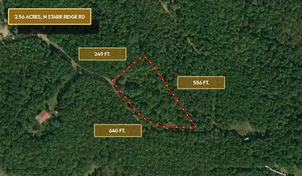 Main Listing Image
