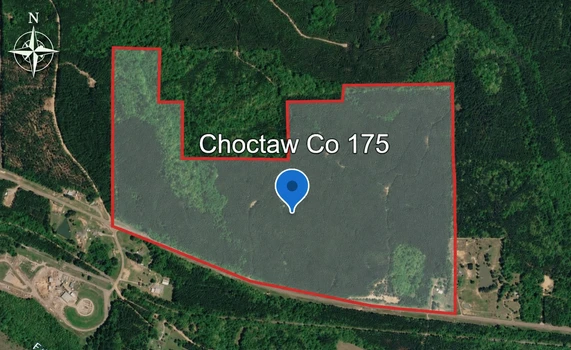 Main Listing Image