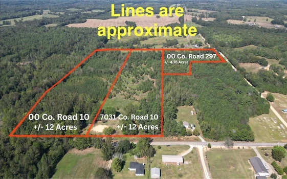 Main Listing Image
