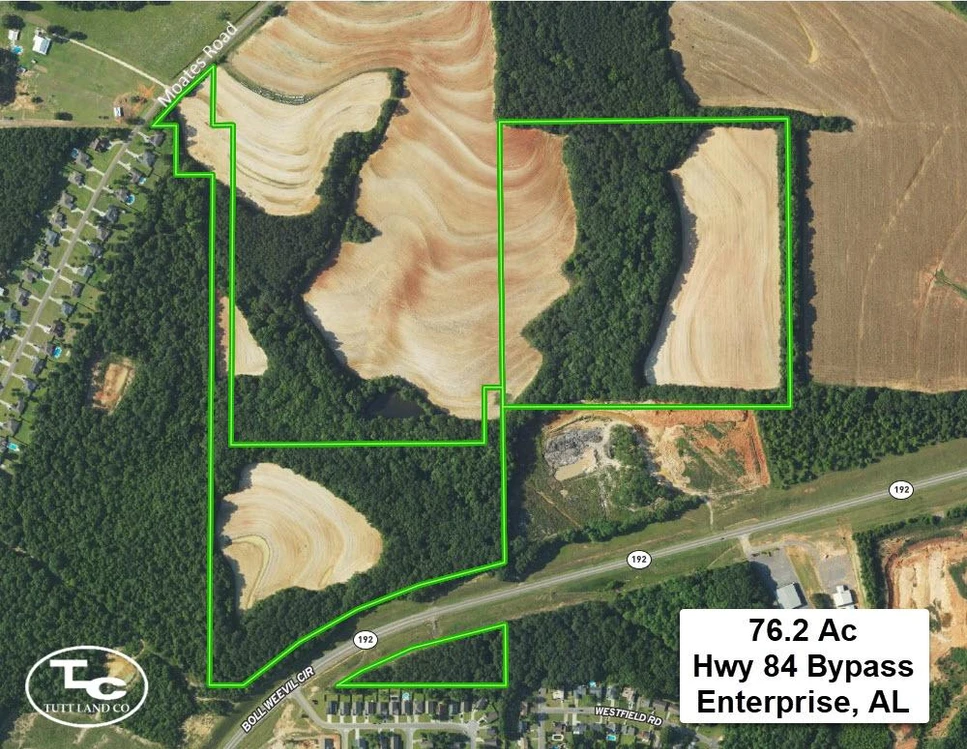Main Listing Image