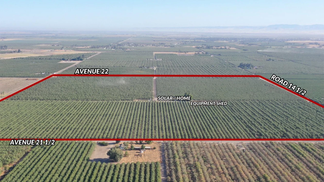 Main Listing Image