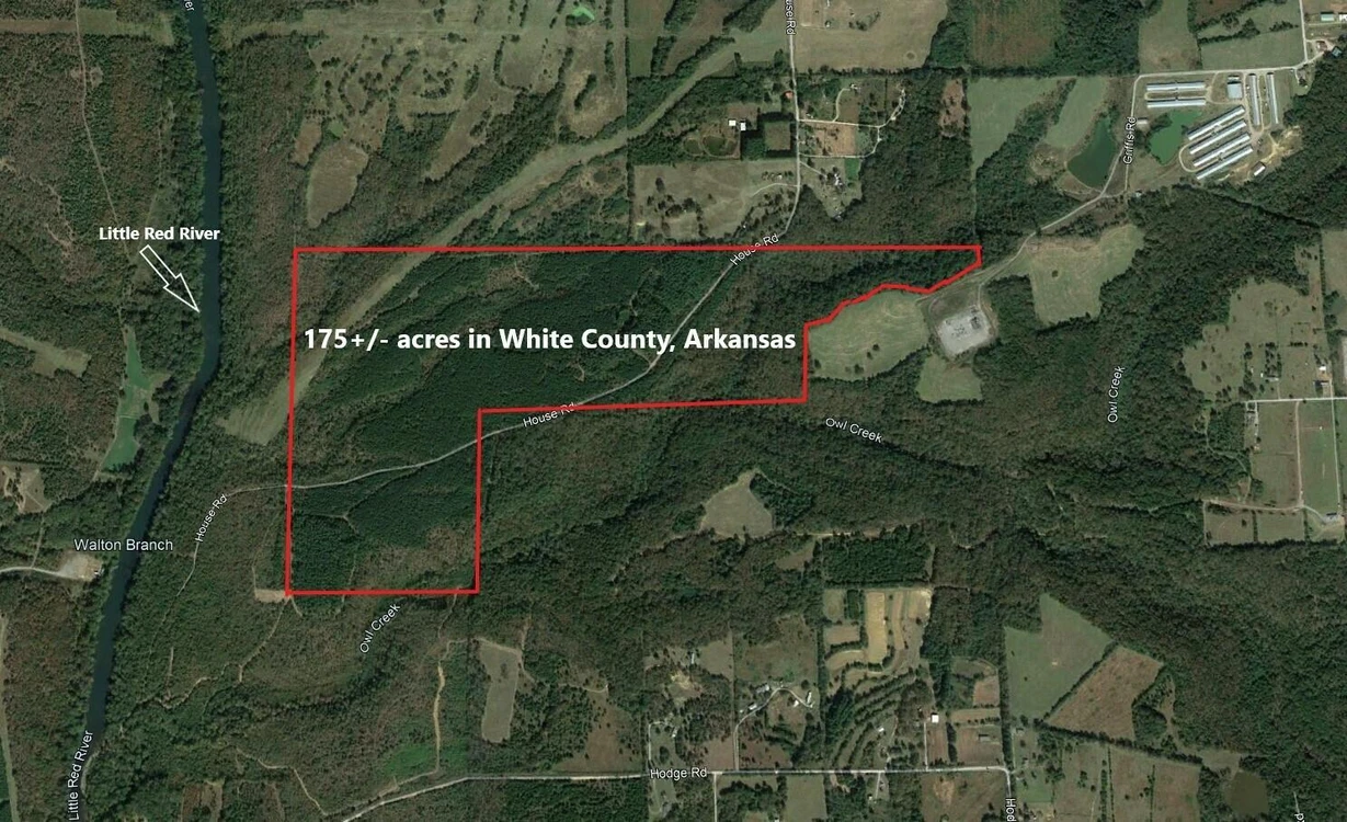 Main Listing Image