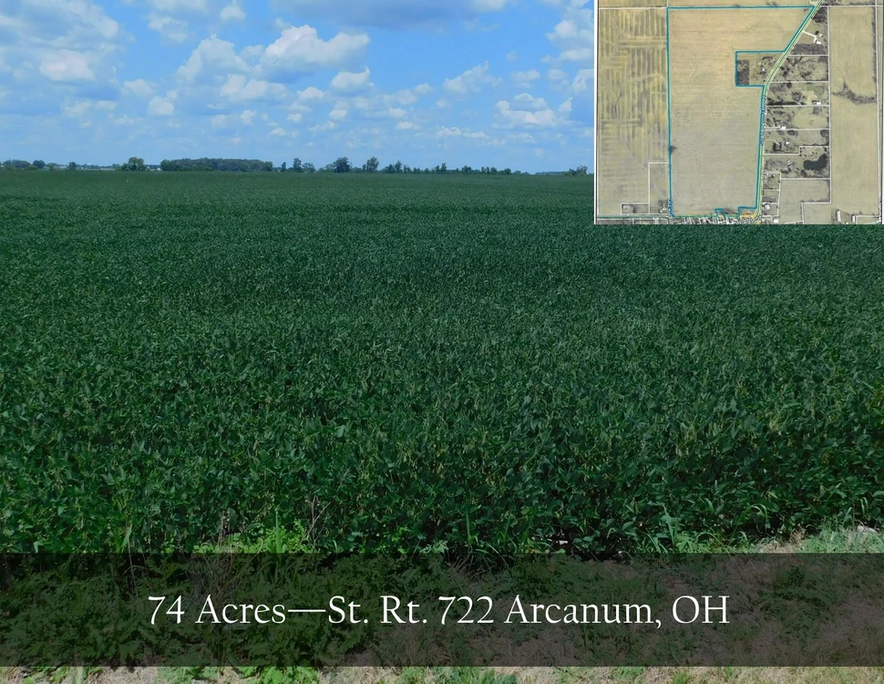 Main Listing Image