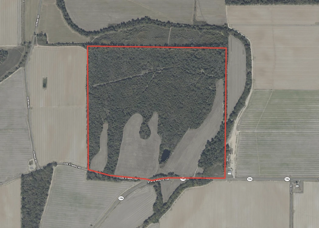 Main Listing Image
