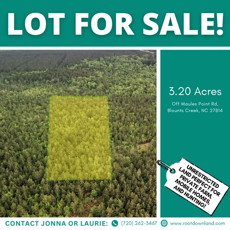 Main Listing Image