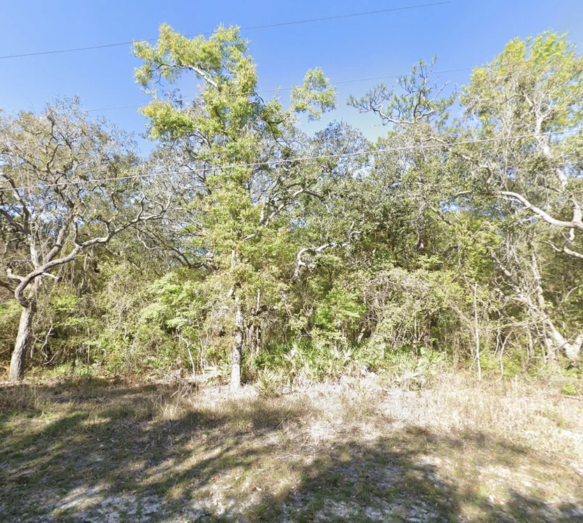 Main Listing Image