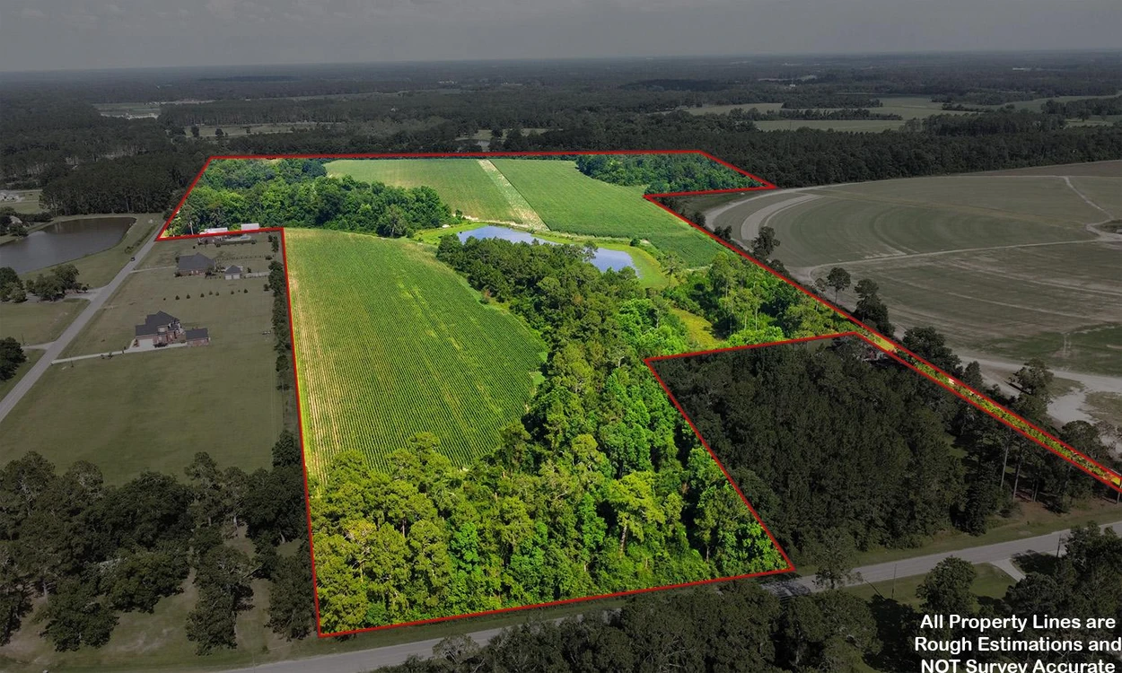 Main Listing Image