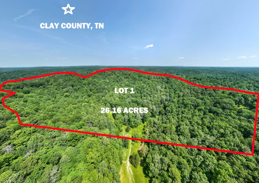 Main Listing Image