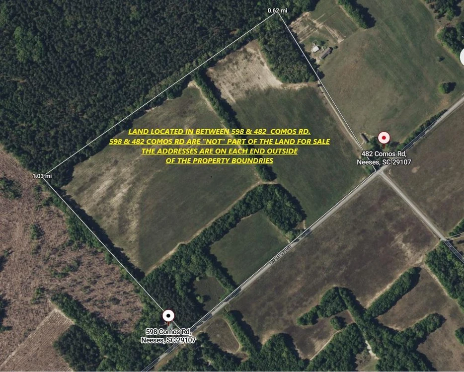 Main Listing Image