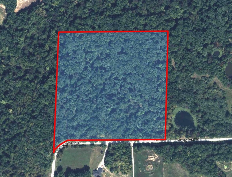 Main Listing Image