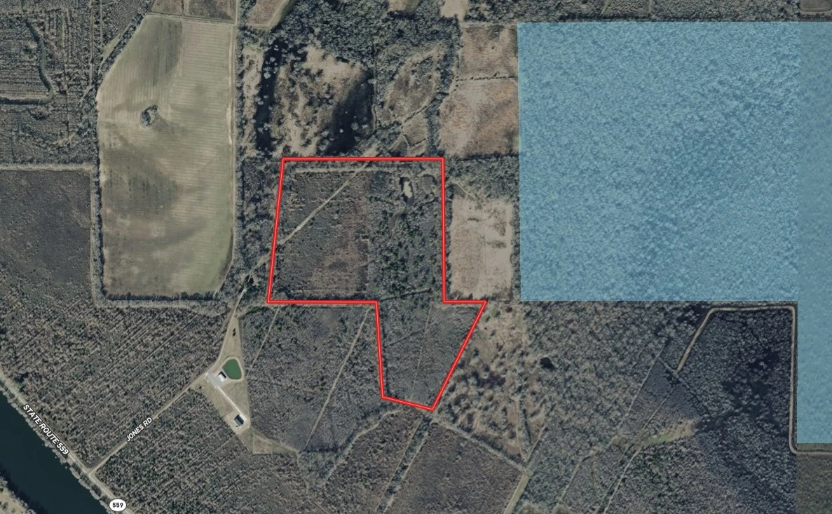 Main Listing Image