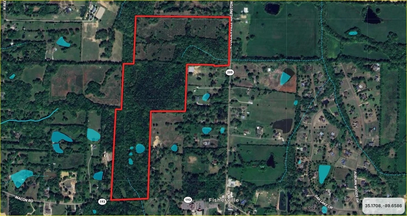 Main Listing Image
