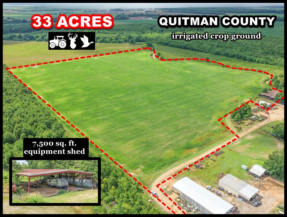 Main Listing Image