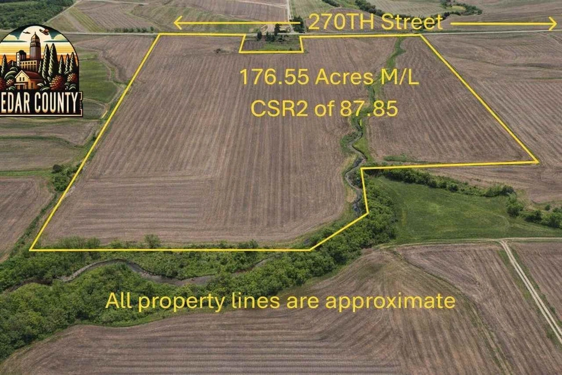 Main Listing Image