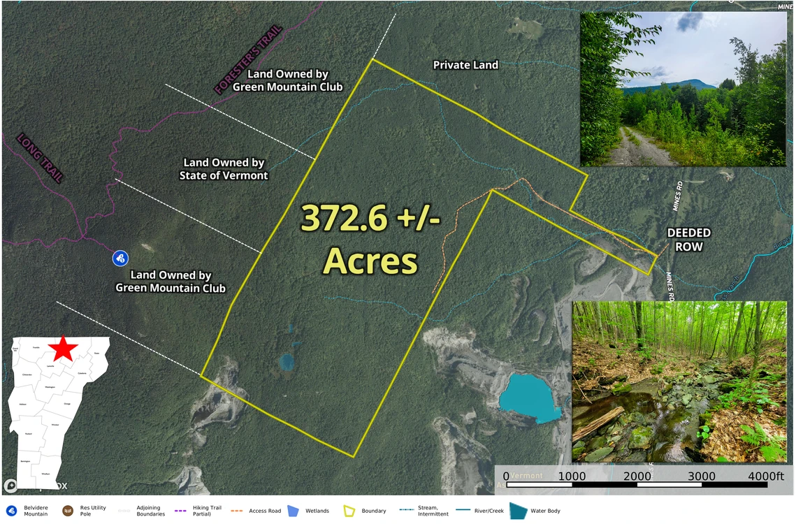 Main Listing Image